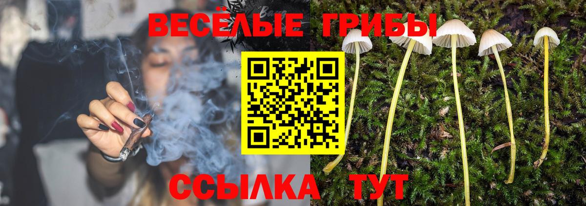 Галлюциногенные грибы MAGIC MUSHROOMS Малоярославец