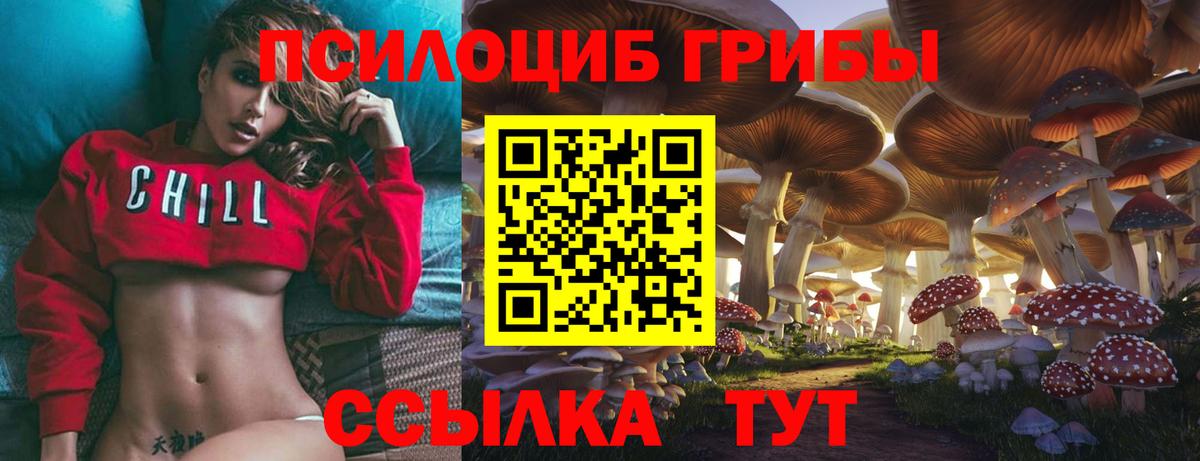 Галлюциногенные грибы MAGIC MUSHROOMS  Вход с VPN  Малоярославец  Псилоцибиновые грибы GOLDEN TEACHER 